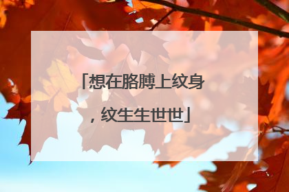 想在胳膊上纹身，纹生生世世