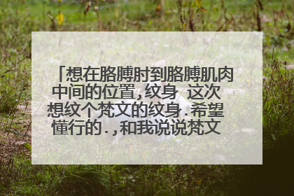 想在胳膊肘到胳膊肌肉中间的位置,纹身 这次想纹个梵文的纹身.希望懂行的.,和我说说梵文纹身讲究...