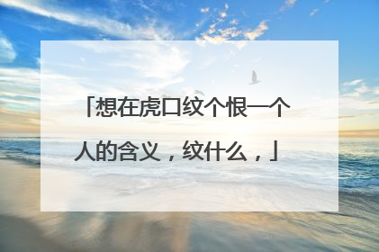 想在虎口纹个恨一个人的含义，纹什么，