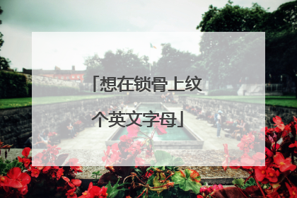 想在锁骨上纹个英文字母