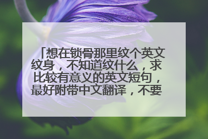 想在锁骨那里纹个英文纹身,不知道纹什么,求比较有意义的英文短句,最好附带中文翻译,不要在人家问题下
