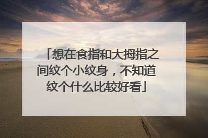想在食指和大拇指之间纹个小纹身,不知道纹个什么比较好看