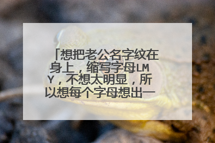 想把老公名字纹在身上，缩写字母LMY，不想太明显，所以想每个字母想出一个有意义的单词