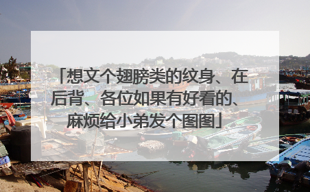 想文个翅膀类的纹身、在后背、各位如果有好看的、麻烦给小弟发个图图