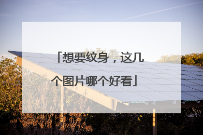 想要纹身，这几个图片哪个好看