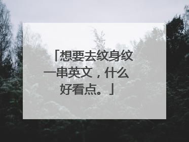想要去纹身纹一串英文，什么好看点。