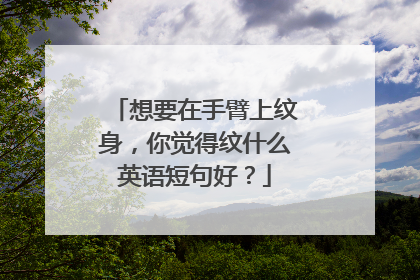 想要在手臂上纹身，你觉得纹什么英语短句好？