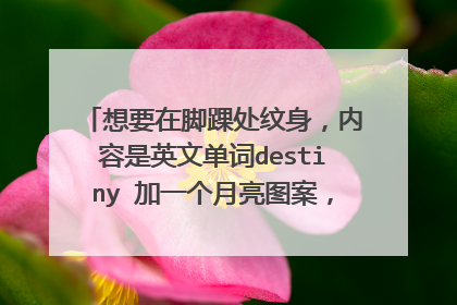 想要在脚踝处纹身，内容是英文单词destiny 加一个月亮图案，需要destiny