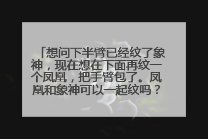 想问下半臂已经纹了象神，现在想在下面再纹一个凤凰，把手臂包了。凤凰和象神可以一起纹吗？有什么忌讳？