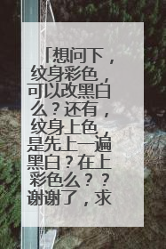 想问下,纹身彩色,可以改黑白么?还有,纹身上色,是先上一遍黑白?在上彩色么??谢谢了,求。