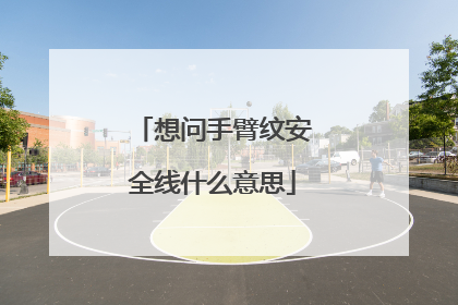 想问手臂纹安全线什么意思