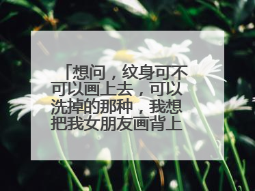 想问，纹身可不可以画上去，可以洗掉的那种，我想把我女朋友画背上可以吗，大概费用 ！求解