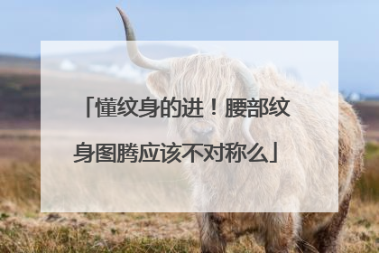 懂纹身的进！腰部纹身图腾应该不对称么