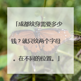 成都纹身需要多少钱？就只纹两个字母。在不同的位置。