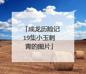 成龙历险记19集小玉刺青的图片