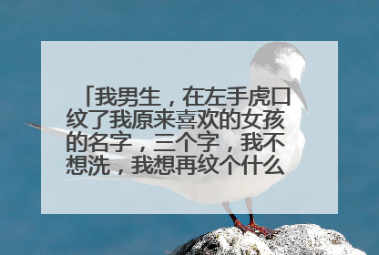 我男生，在左手虎口纹了我原来喜欢的女孩的名字，三个字，我不想洗，我想再纹个什么把遮盖一下