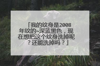 我的纹身是2008年纹的~深蓝黑色，现在想把这个纹身洗掉呢？还能洗掉吗？
