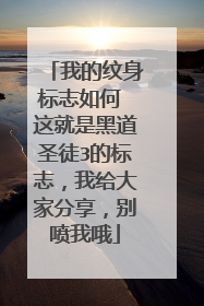 我的纹身标志如何 这就是黑道圣徒3的标志，我给大家分享，别喷我哦