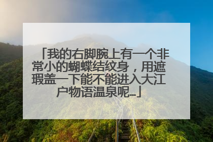 我的右脚腕上有一个非常小的蝴蝶结纹身，用遮瑕盖一下能不能进入大江户物语温泉呢…
