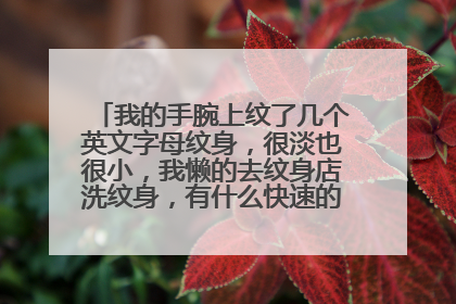 我的手腕上纹了几个英文字母纹身,很淡也很小,我懒的去纹身店洗纹身,有什么快速的方法弄掉纹身?