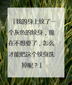 我的身上纹了一个灰色的纹身,现在不想要了,怎么才能把这个纹身洗掉呢?
