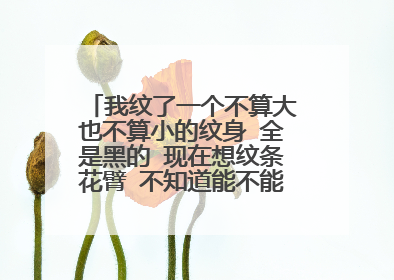 我纹了一个不算大也不算小的纹身 全是黑的 现在想纹条花臂 不知道能不能盖住 喷雾了