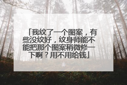 我纹了一个图案，有些没纹好，纹身师能不能把那个图案稍微修一下啊？用不用给钱
