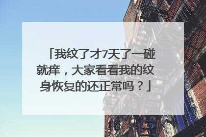 我纹了才7天了一碰就痒，大家看看我的纹身恢复的还正常吗？