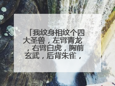我纹身相纹个四大圣兽，左臂青龙，右臂白虎，胸前玄武，后背朱雀，你们说咋样