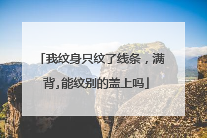 我纹身只纹了线条，满背,能纹别的盖上吗