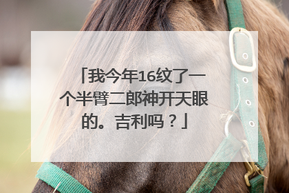 我今年16纹了一个半臂二郎神开天眼的。吉利吗？
