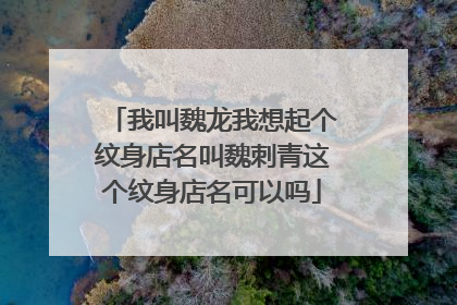 我叫魏龙我想起个纹身店名叫魏刺青这个纹身店名可以吗