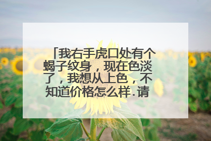 我右手虎口处有个蝎子纹身，现在色淡了，我想从上色，不知道价格怎么样.请高手指点.