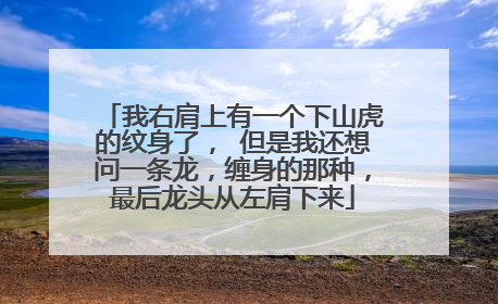我右肩上有一个下山虎的纹身了， 但是我还想问一条龙，缠身的那种，最后龙头从左肩下来