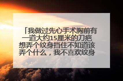 我做过先心手术胸前有一道大约15厘米的刀疤想弄个纹身挡住不知道该弄个什么，我不喜欢纹身所以越小越好