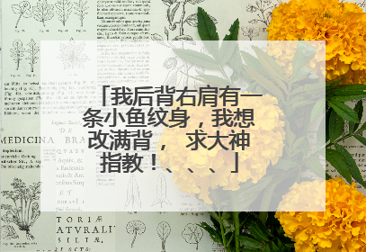 我后背右肩有一条小鱼纹身，我想改满背， 求大神指教！、、、