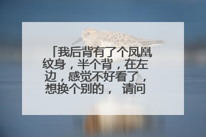 我后背有了个凤凰纹身，半个背，在左边，感觉不好看了，想换个别的， 请问一下怎么换？