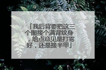 我后背要把这三个图接个满背纹身，给点意见是打雾好，还是接半甲