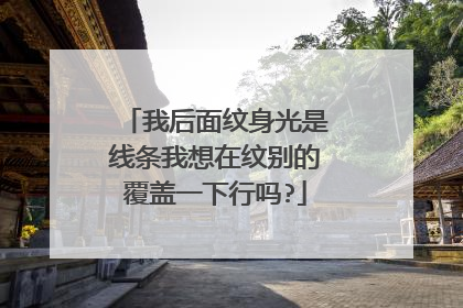 我后面纹身光是线条我想在纹别的覆盖一下行吗?