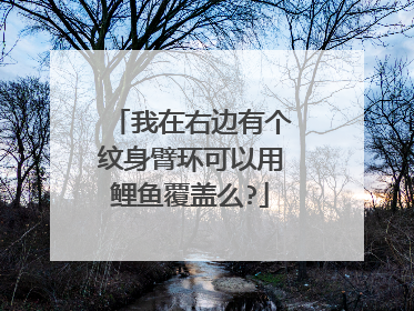 我在右边有个纹身臂环可以用鲤鱼覆盖么?