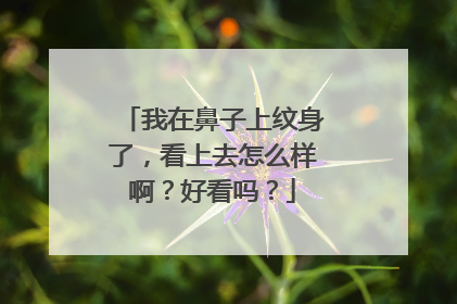我在鼻子上纹身了，看上去怎么样啊？好看吗？
