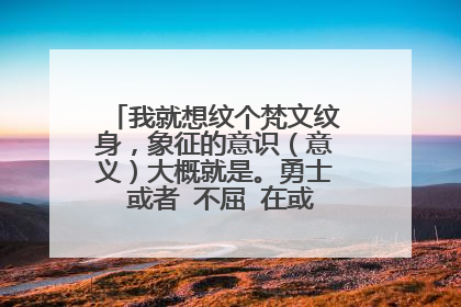 我就想纹个梵文纹身，象征的意识（意义）大概就是。勇士 或者 不屈 在或者 自强不息，