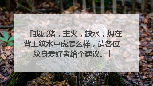我属猪，主火，缺水，想在背上纹水中虎怎么样，请各位纹身爱好者给个建议。
