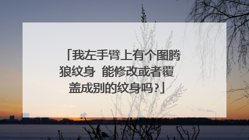 我左手臂上有个图腾狼纹身 能修改或者覆盖成别的纹身吗?