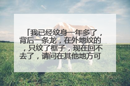 我已经纹身一年多了，背后一条龙，在外地纹的，只纹了框子，现在回不去了，请问在其他地方可以上色吗？谢