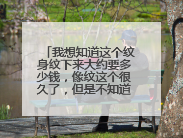 我想知道这个纹身纹下来大约要多少钱，像纹这个很久了，但是不知道该花多少钱，纹身这东西也挺能黑人的，