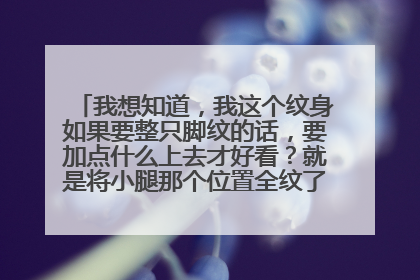 我想知道,我这个纹身如果要整只脚纹的话,要加点什么上去才好看?就是将小腿那个位置全纹了,请大神们给