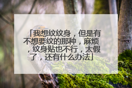 我想纹纹身,但是有不想要纹的那种,麻烦,纹身贴也不行,太假了,还有什么办法