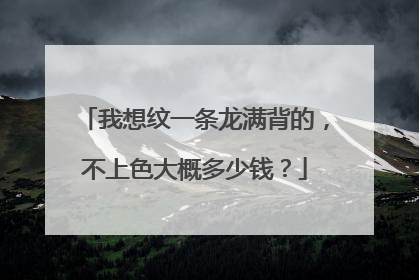我想纹一条龙满背的，不上色大概多少钱？