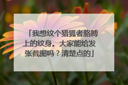 我想纹个猎狐者胳膊上的纹身。大家能给发张截图吗？清楚点的